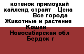 котенок прямоухий  хайленд страйт › Цена ­ 10 000 - Все города Животные и растения » Кошки   . Новосибирская обл.,Бердск г.
